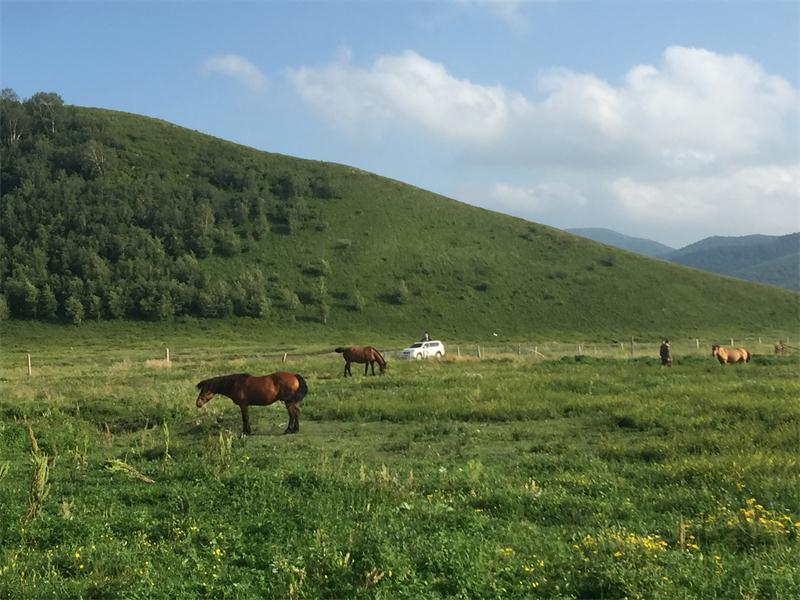 避暑好去處 壩上草原【孤石陽光山谷】(圖8)