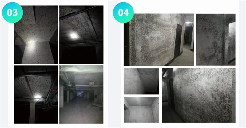 霉菌的溫床：地下車庫或儲(chǔ)藏室潮濕、滲漏...(圖2)