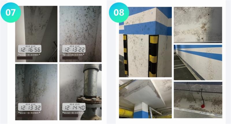 霉菌的溫床：地下車庫或儲(chǔ)藏室潮濕、滲漏...(圖4)