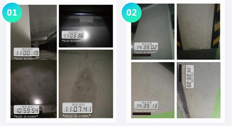 霉菌的溫床：地下車庫或儲(chǔ)藏室潮濕、滲漏...(圖1)