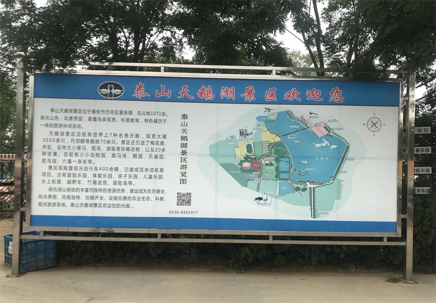 天鵝湖風(fēng)景區(qū)（泰山）速覽！(圖2)