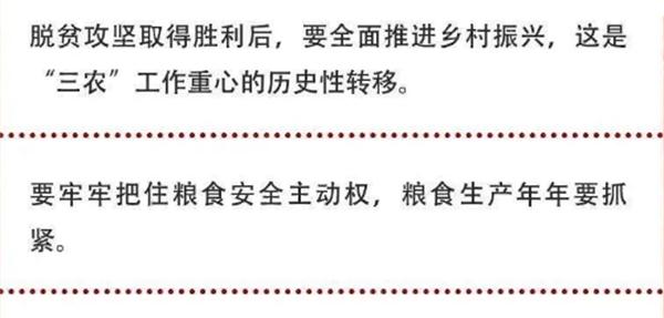 2020年中央農(nóng)村工作會議精神速覽！(圖2)